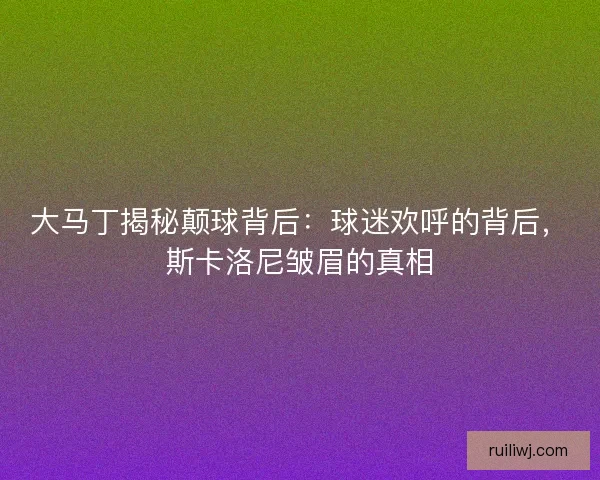大马丁揭秘颠球背后：球迷欢呼的背后，斯卡洛尼皱眉的真相